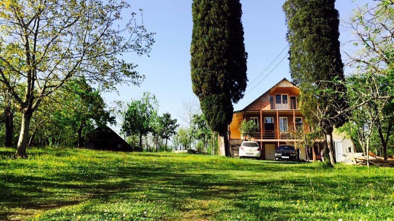 Villa Kardwell Martvili Buitenkant foto